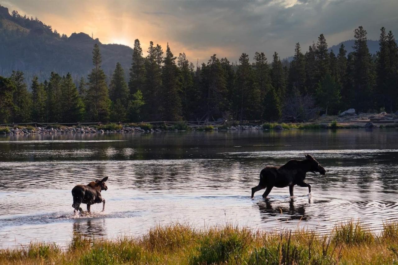 Nakai Peak 41B Condo Estes Park Dış mekan fotoğraf