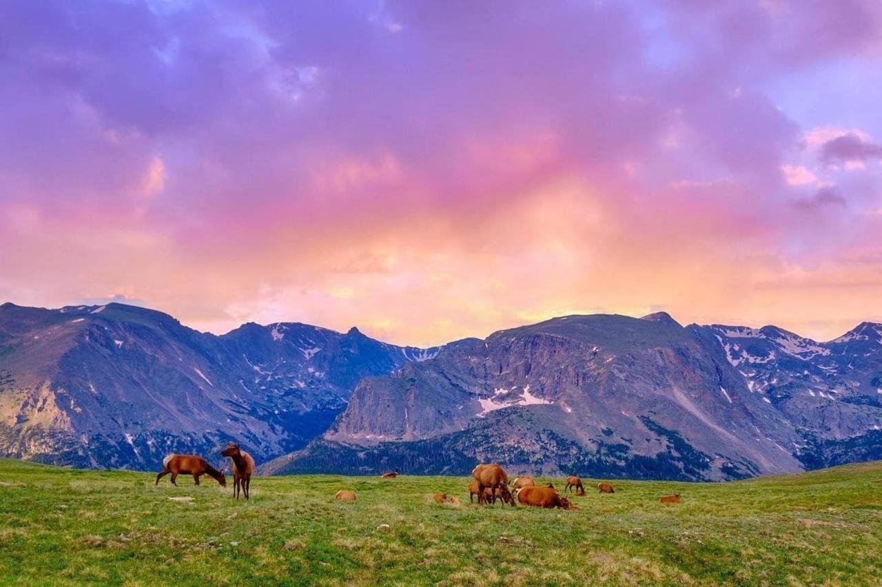 Nakai Peak 41B Condo Estes Park Dış mekan fotoğraf